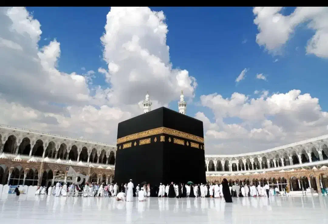 فروش عمره|تور و چارتر|آمل, |دیوار