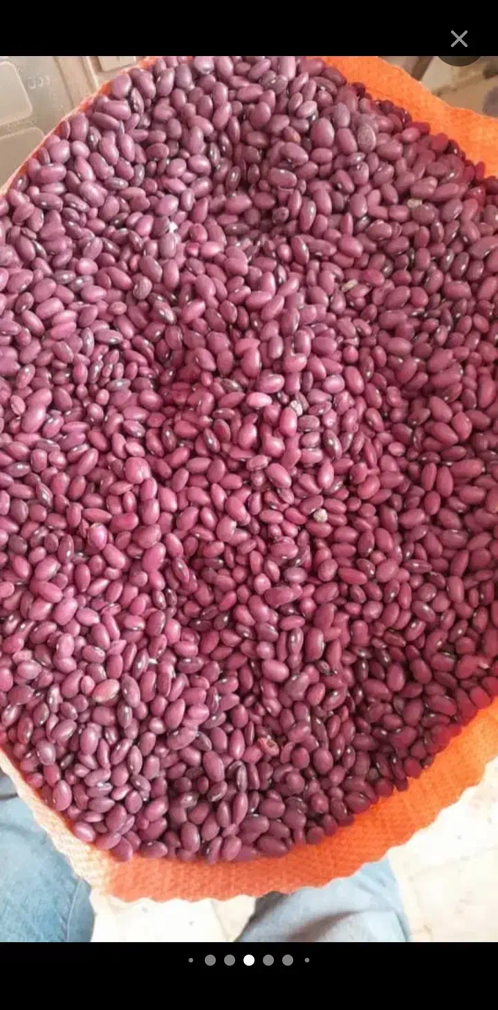 خریدوفروش حبوبات وخشکبار|خوردنی و آشامیدنی|بهمن صغاد, |دیوار