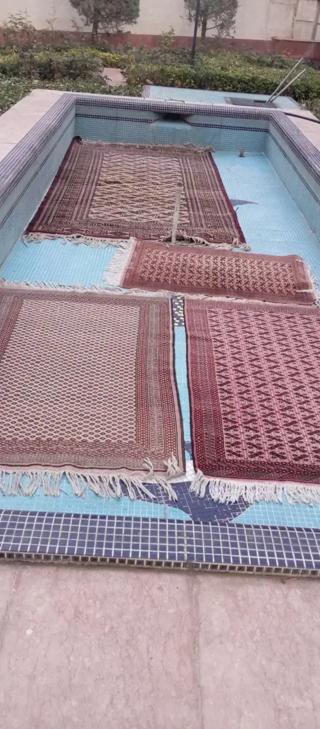 فرش قدیمی|فرش|تهران, جماران (نیاوران)|دیوار