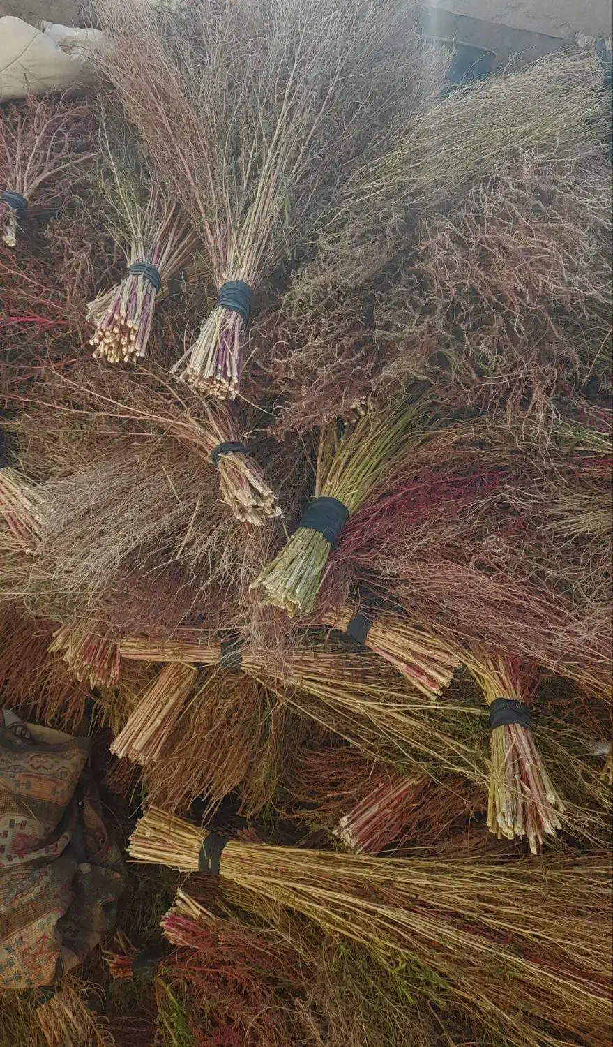 جارو|لوازم نظافت|ملایر, |دیوار