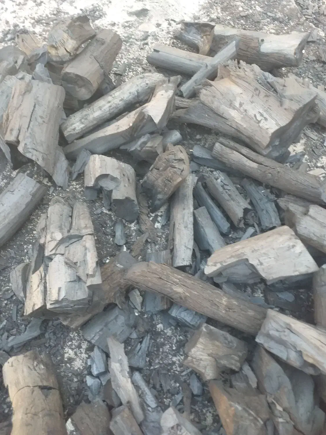 زغال کبابی|عمدهفروشی|بندر ماهشهر, |دیوار