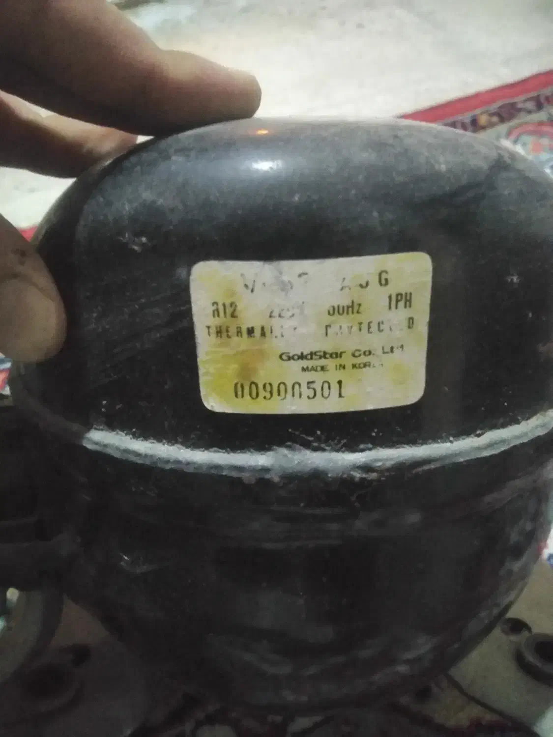 فروش فوری یک عدد موتور سویسی یخچال در حد نو|یخچال و فریزر|مرودشت, شهرک مهدیه|دیوار