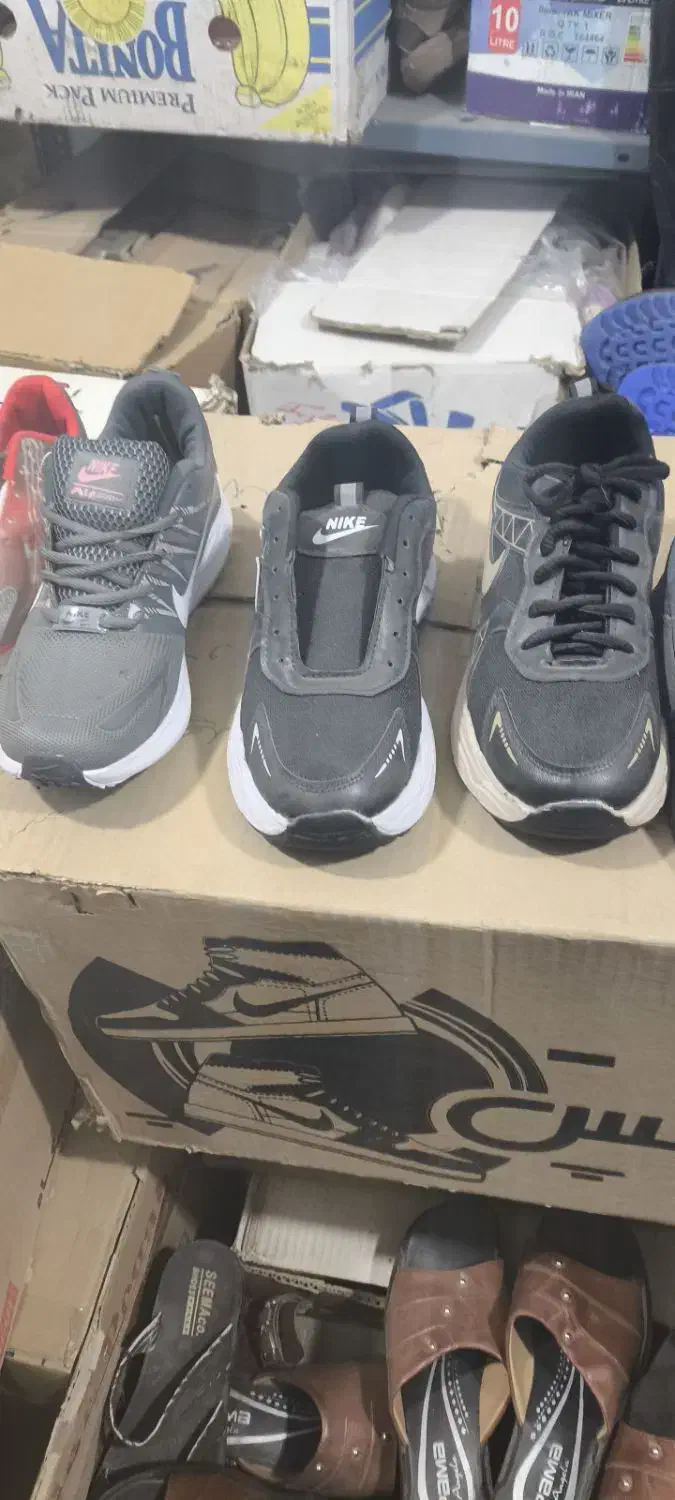 کفش اسپورت مردانه و زنانه به قیمت|کیف، کفش، کمربند|شاهرود, |دیوار