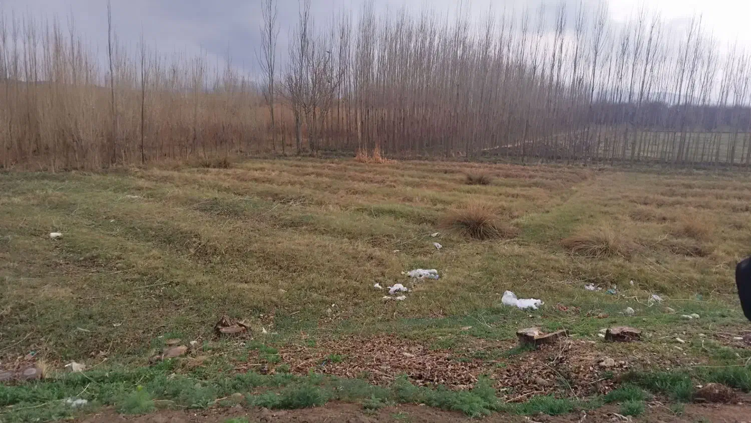 زمین تفکیک شده محمودآباد|فروش زمین و ملک کلنگی|شاهین دژ, |دیوار