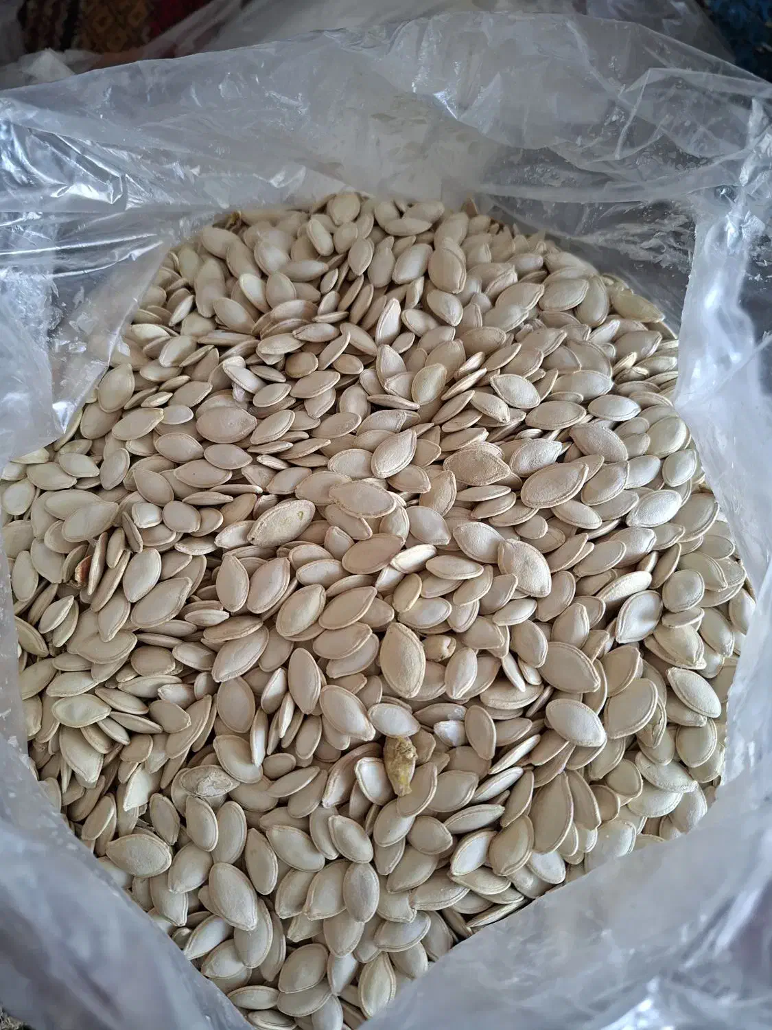 تخمه کدو|خوردنی و آشامیدنی|بهار, |دیوار