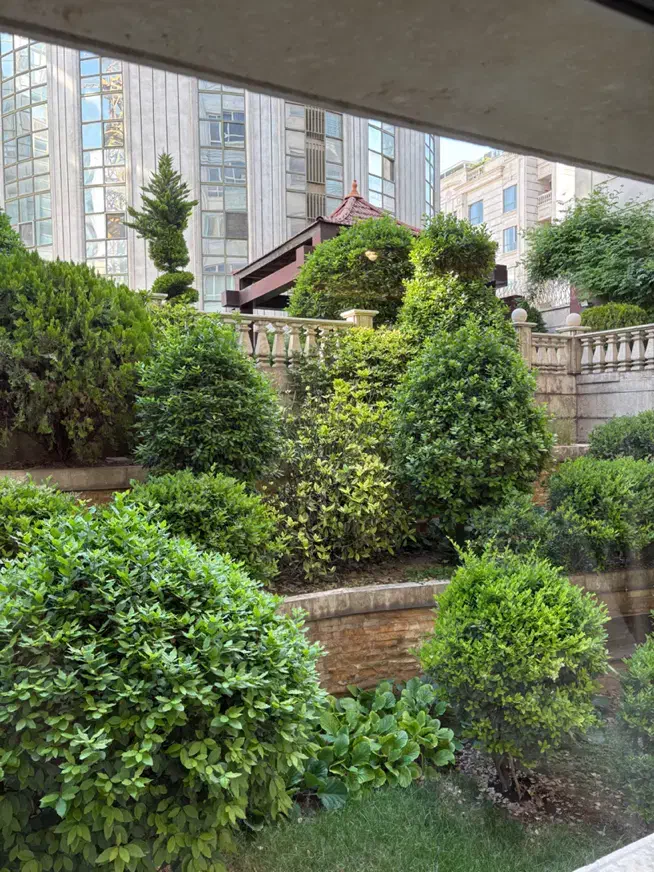 ویلایی ، تریپلکس ، استخر دار|اجارهٔ خانه و ویلا|تهران, زعفرانیه|دیوار