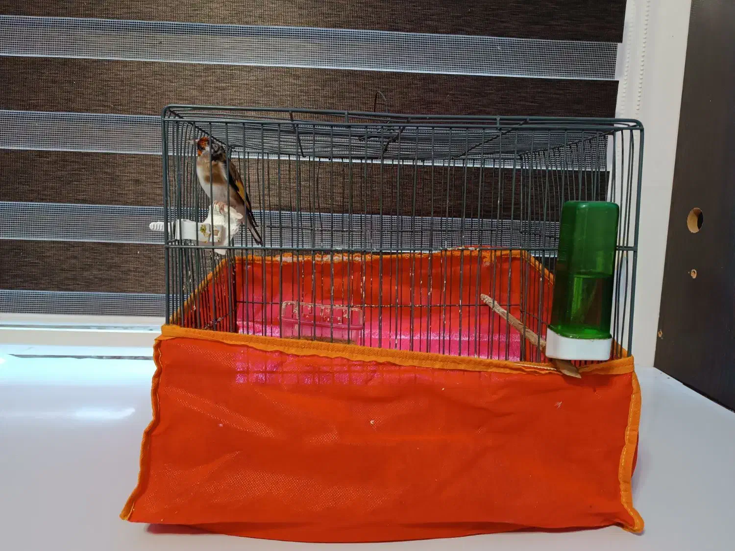 دوتاقفس کاملاسالم|لوازم جانبی حیوانات|ایلام, |دیوار