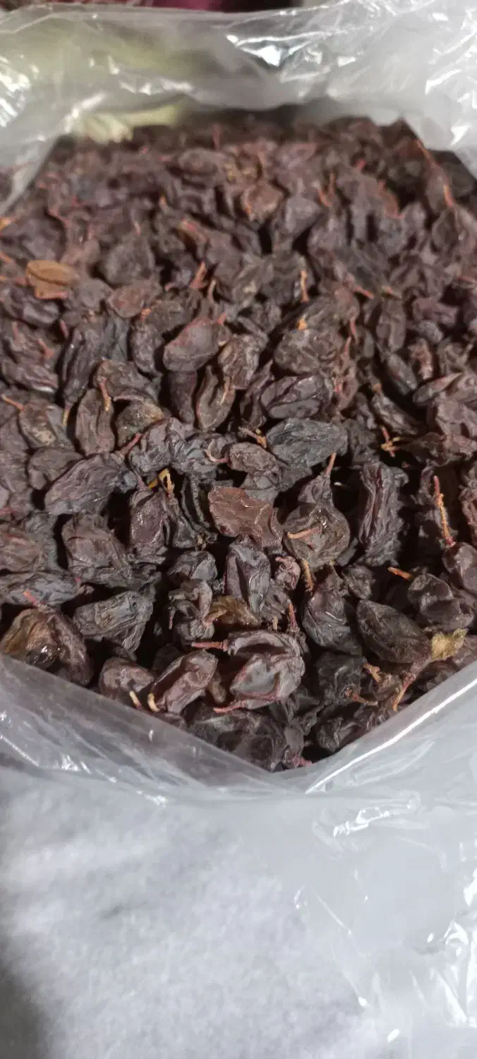 کشمش افتابی|خوردنی و آشامیدنی|رباطکریم, نصیرشهر|دیوار