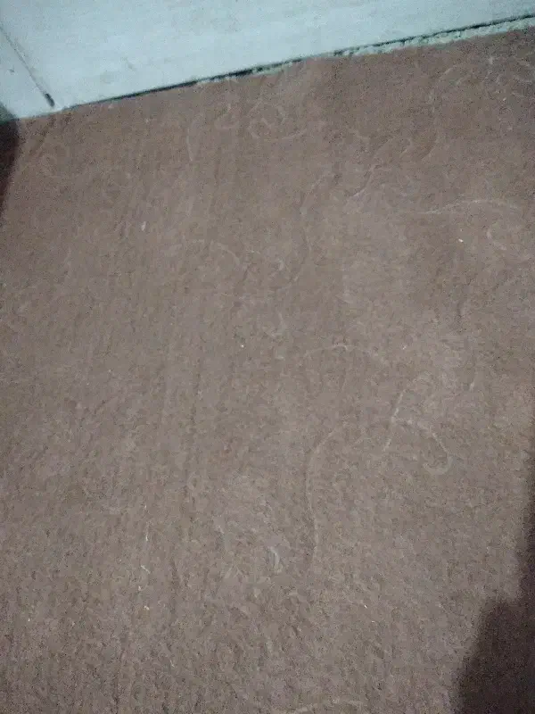 دوعددموکت کاملا سالم هرکدام ۷۰۰|موکت|اقبالیه, |دیوار