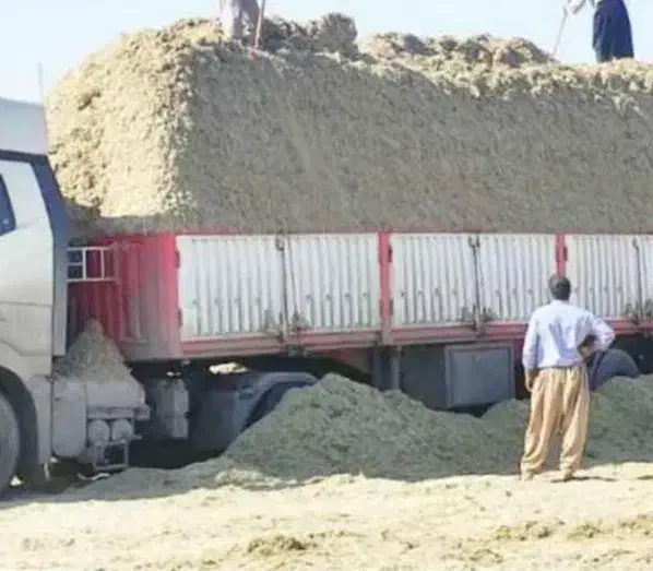 کاه باگاس|خدمات باغبانی و درختکاری|نیشابور, مازول|دیوار