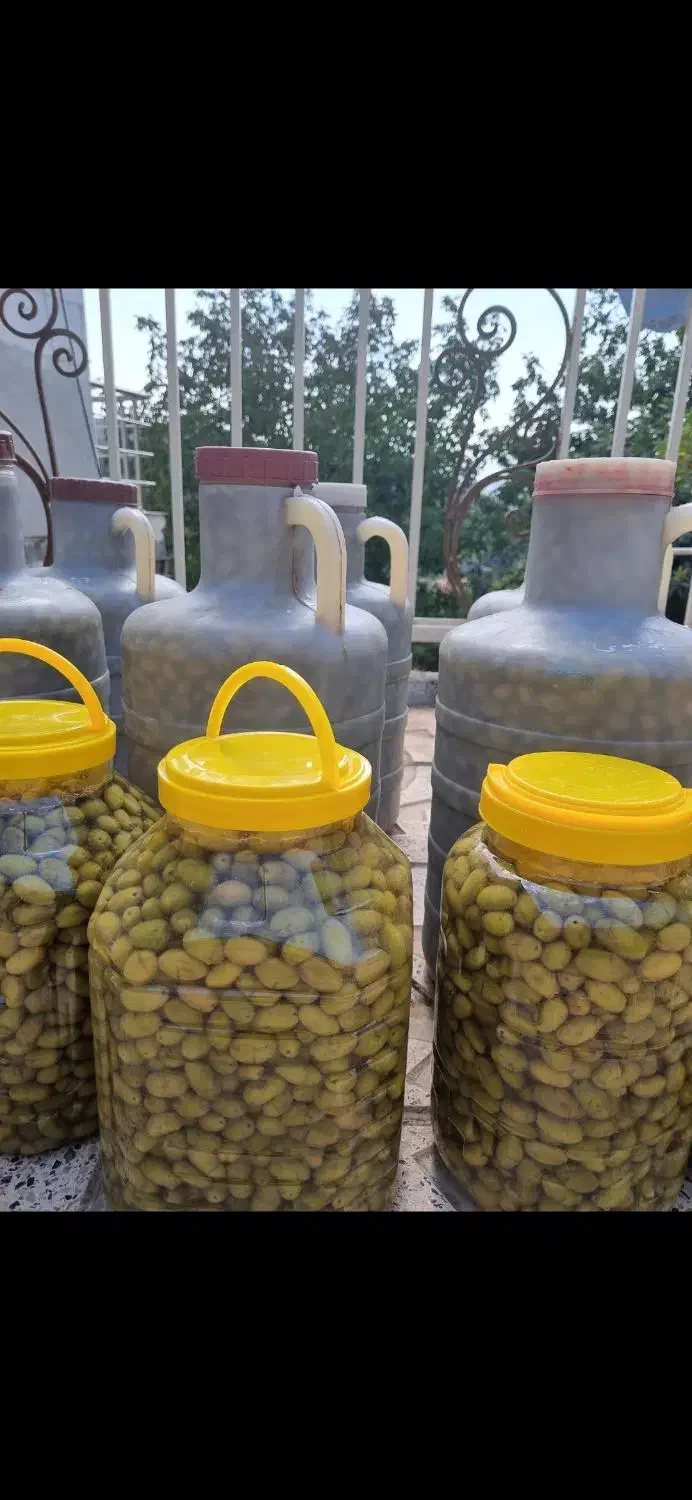 زیتون رو مستقیم از کشاورز بخر|خوردنی و آشامیدنی|اهواز, بهارستان|دیوار