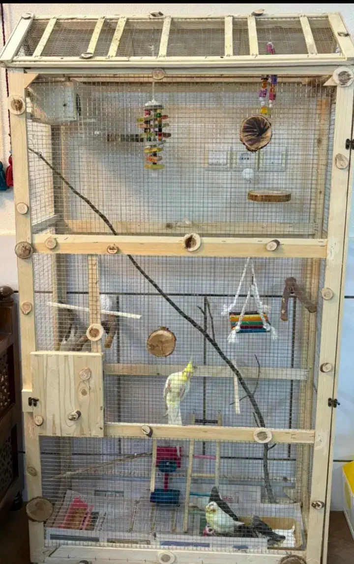 قفس چوبی بزرگ|لوازم جانبی حیوانات|شاهینشهر, دهخدا|دیوار