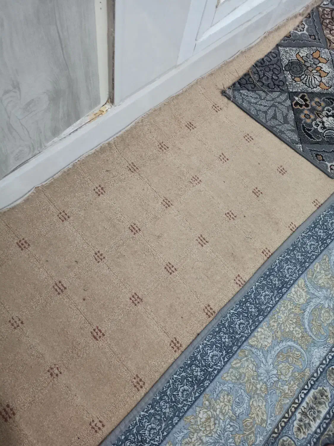 موکت|موکت|قم, ولیعصر|دیوار