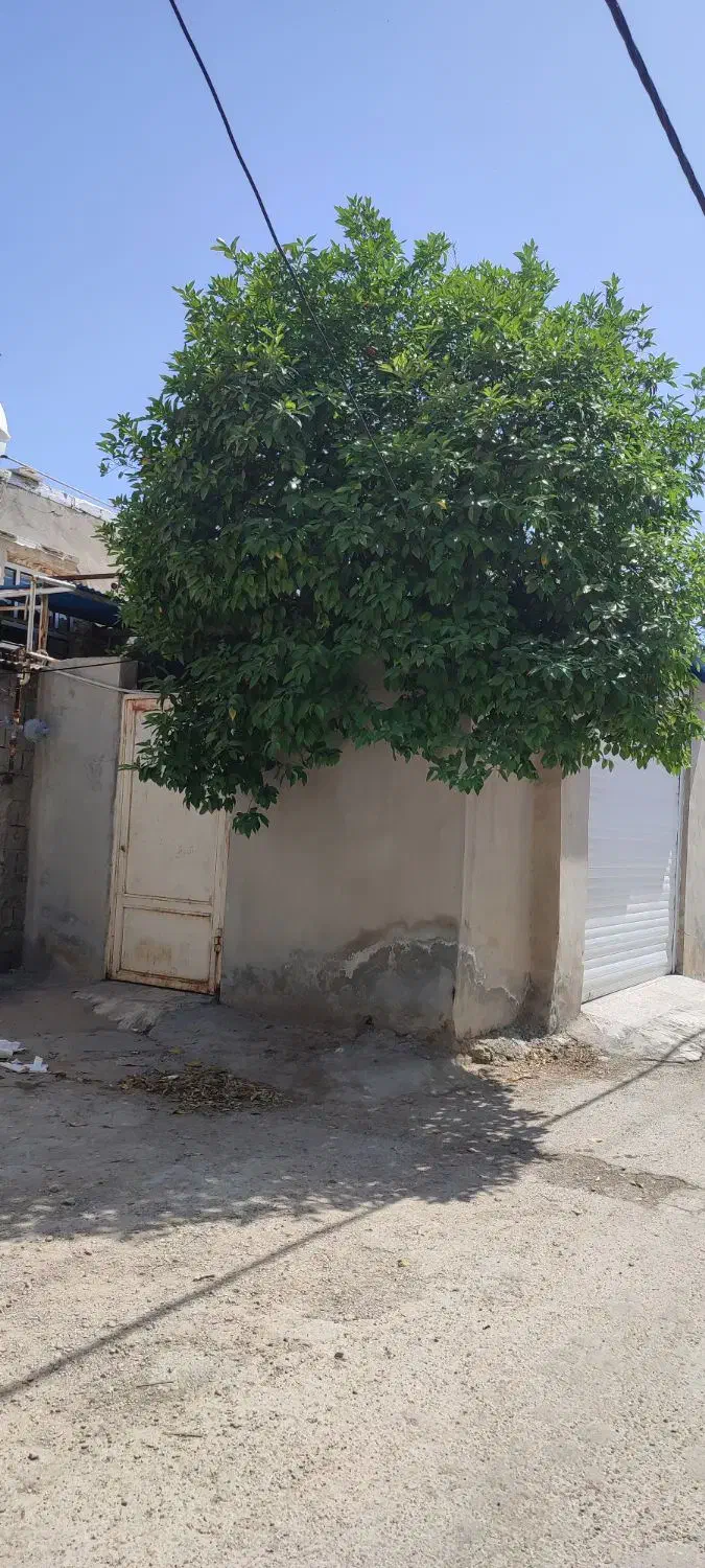 فروش خانه همراه با زمین|فروش خانه و ویلا|بندر گناوه, |دیوار