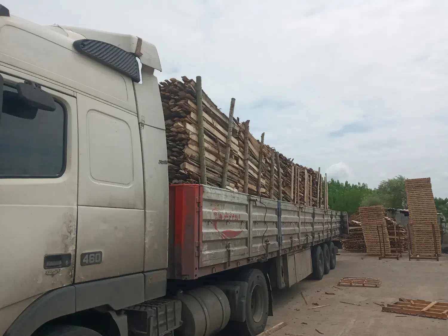 خرید و فروش چوب هیزم باغی پشت لا خاک اره|خدمات باغبانی و درختکاری|تالش, تالش|دیوار