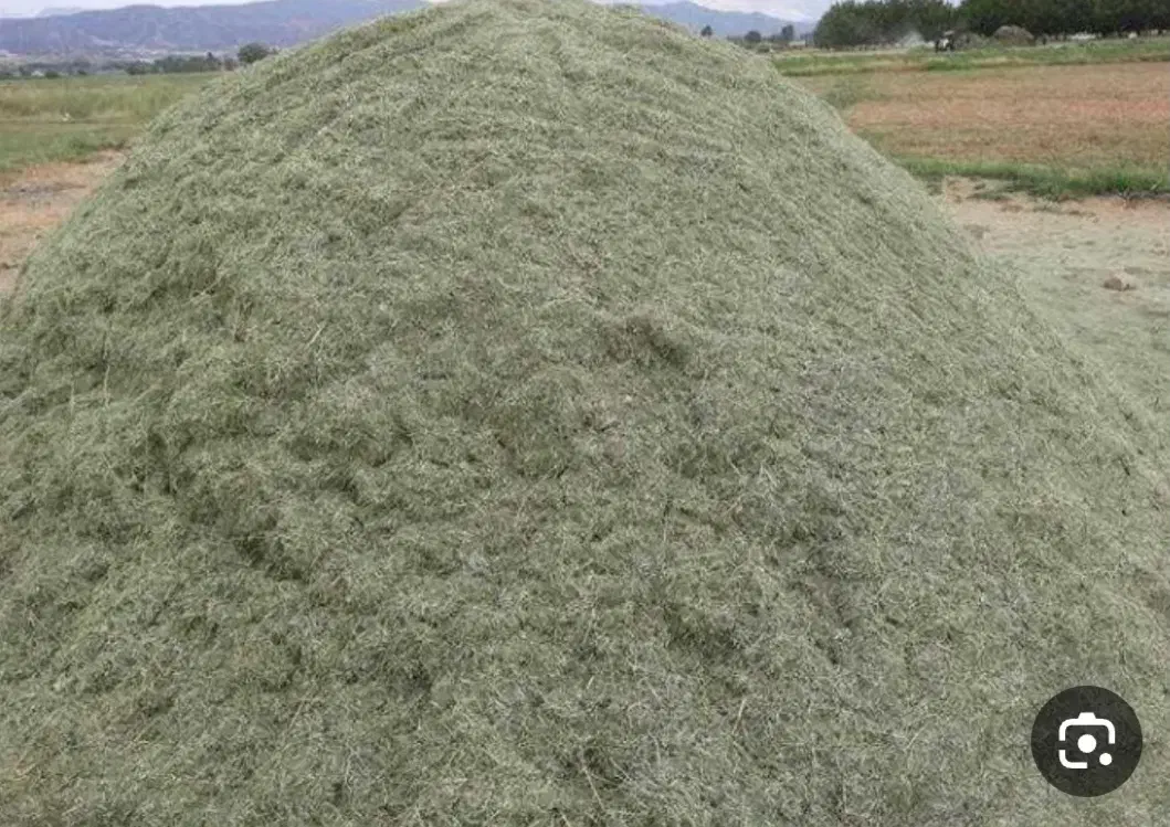 کاه یونجه درجه یک|خدمات باغبانی و درختکاری|یاسوج, |دیوار