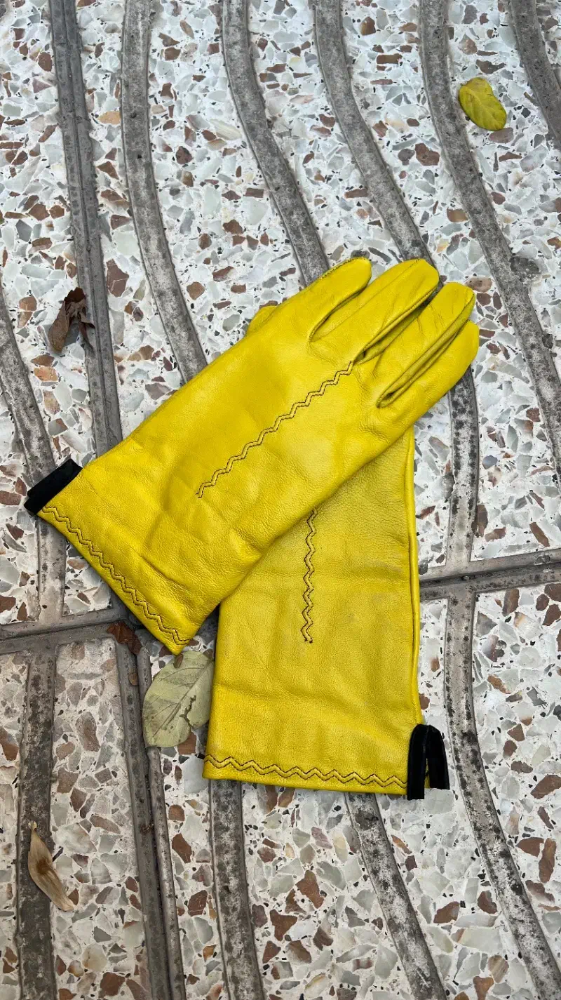 دستکش چرم گوسفندی|کیف، کفش، کمربند|تبریز, |دیوار