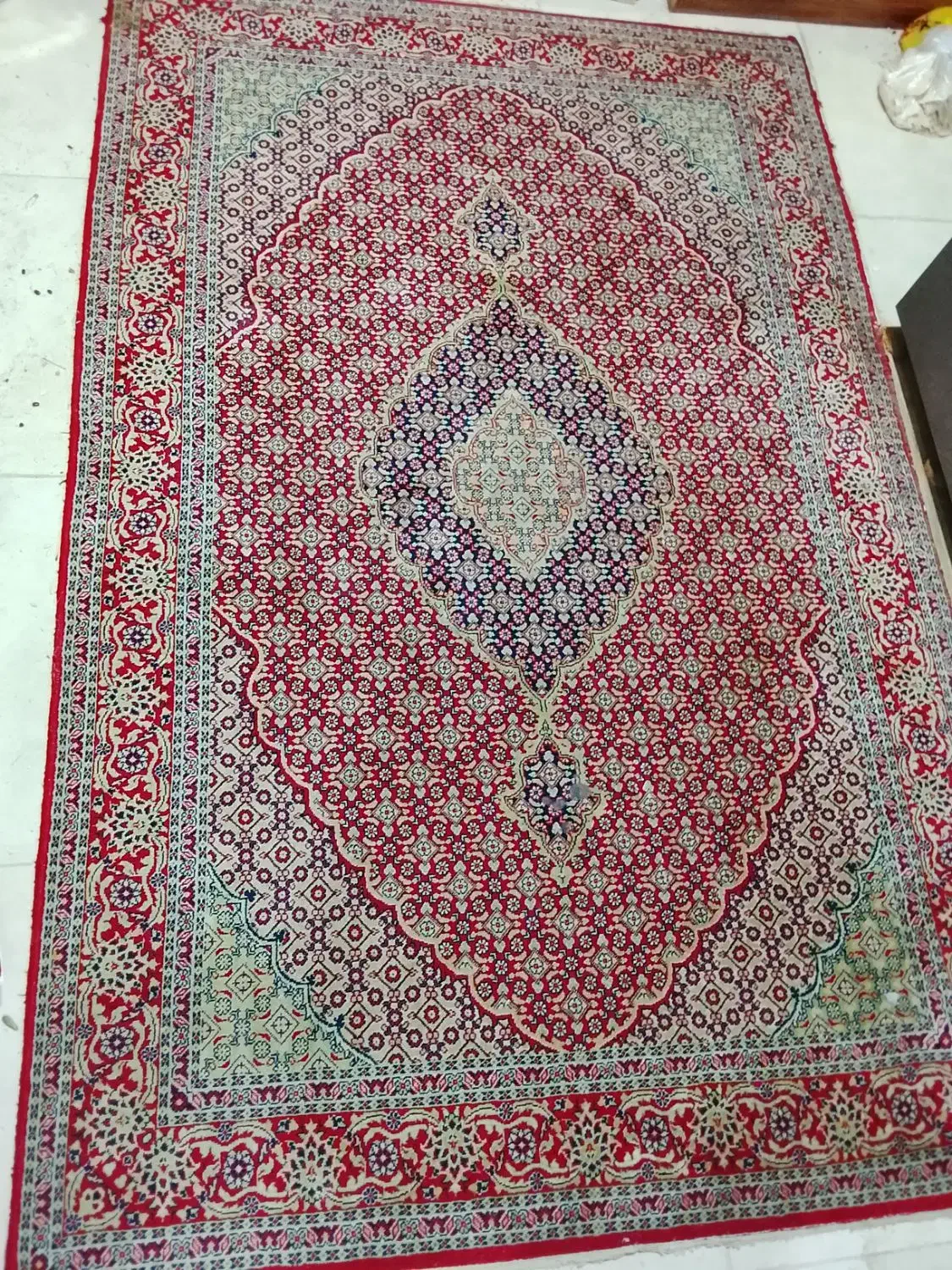 قالیچه سنتی|گلیم، جاجیم، گبه|مشهد, حضرت حجت|دیوار