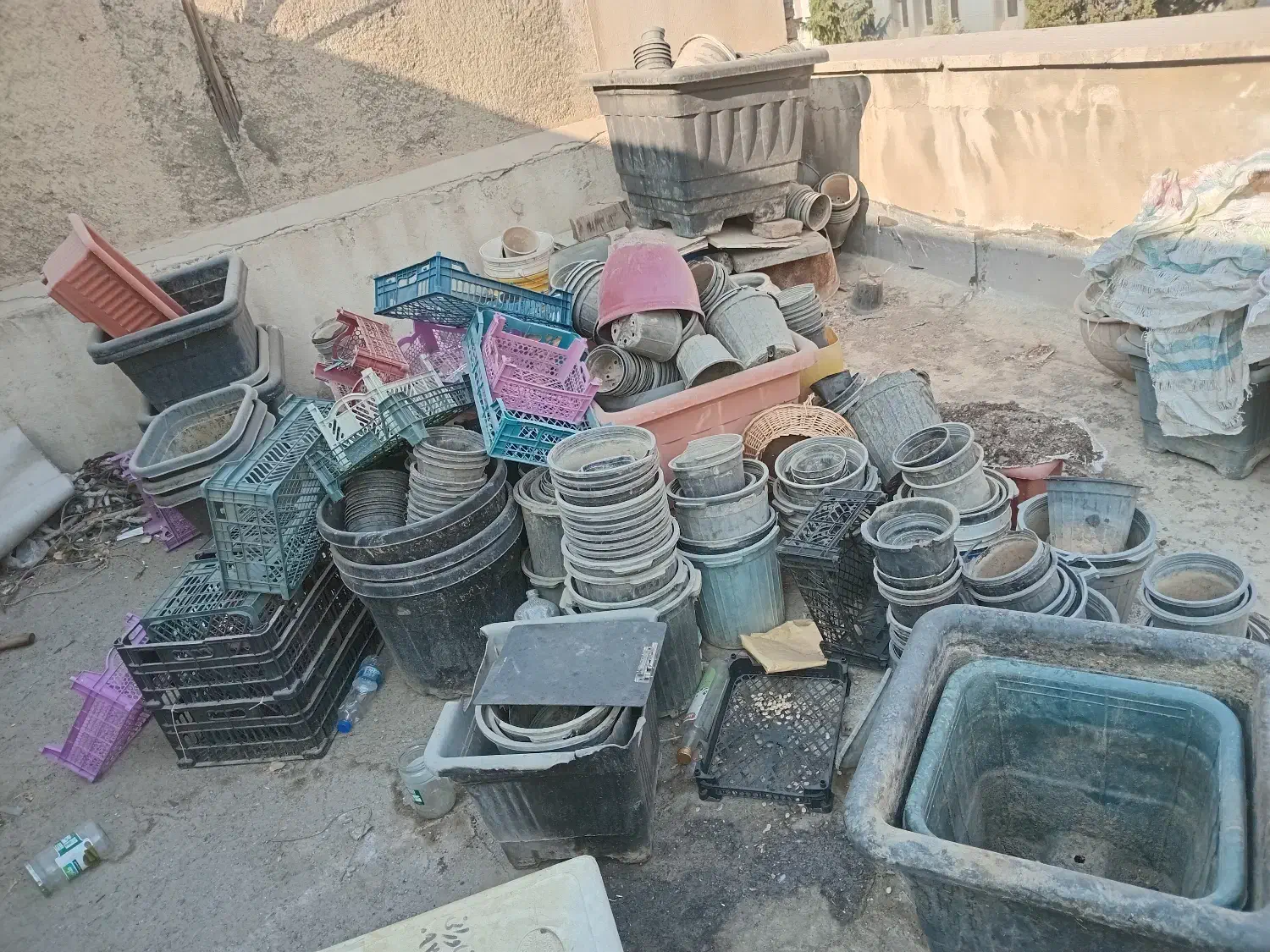 پلاستیکی کارکرده گلدان جهت برای نهال درخت گل وگیاه|گل و گیاه طبیعی|تهران, سید خندان (جلفا)|دیوار