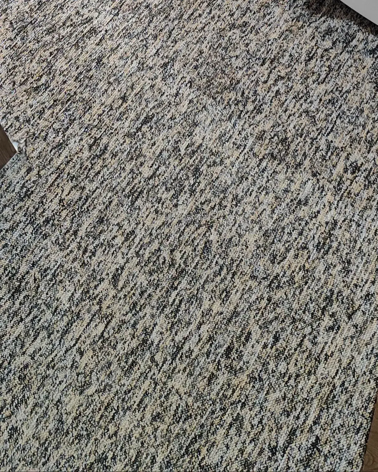 موکت|موکت|اهواز, گلستان|دیوار