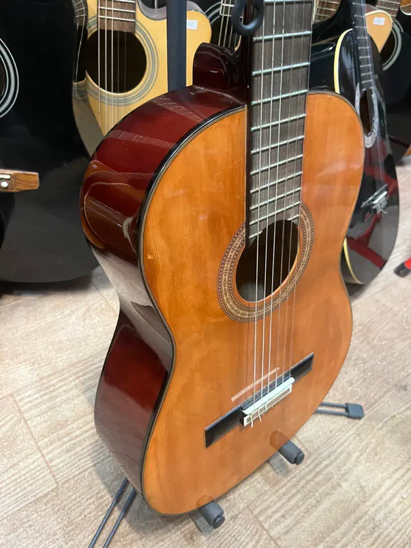 گیتار کلاسیک آریاak20گالری موسیقی آرتیاپاساژشهرسبز|گیتار، بیس، امپلیفایر|لاهیجان, انقلاب|دیوار