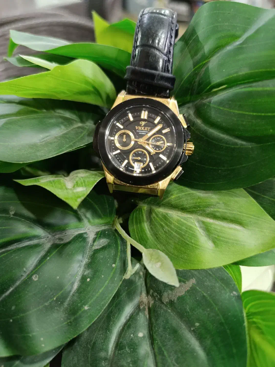 ساعت مچی ویولت اصلی زنانه|ساعت|تهران, باغ خزانه|دیوار