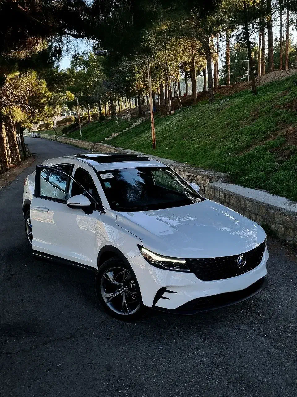 دیگنیتی پرستیژ ۱۴۰۲|خودرو سواری و وانت|کرج, کارخانه قند|دیوار