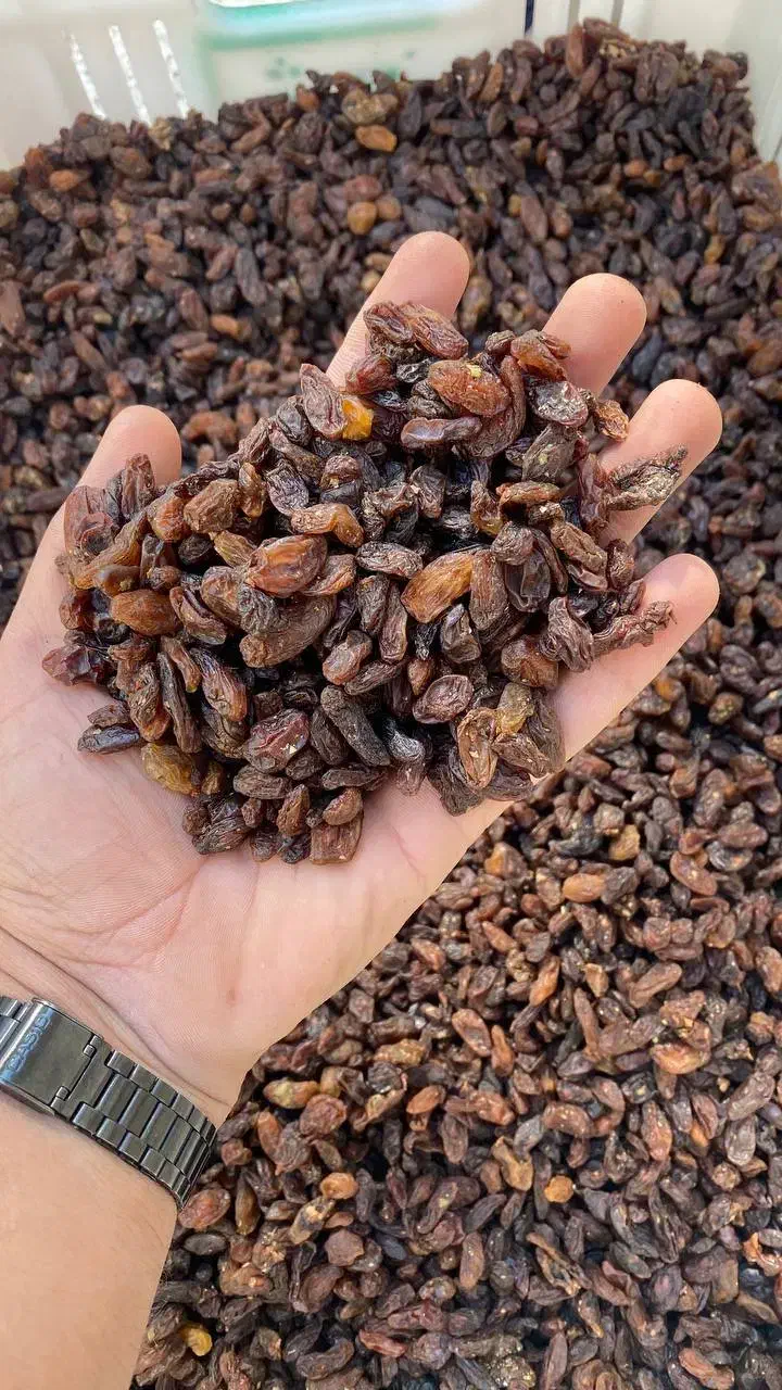 کشمش آفتابی بیدانه|خوردنی و آشامیدنی|قم, میرزائیه|دیوار