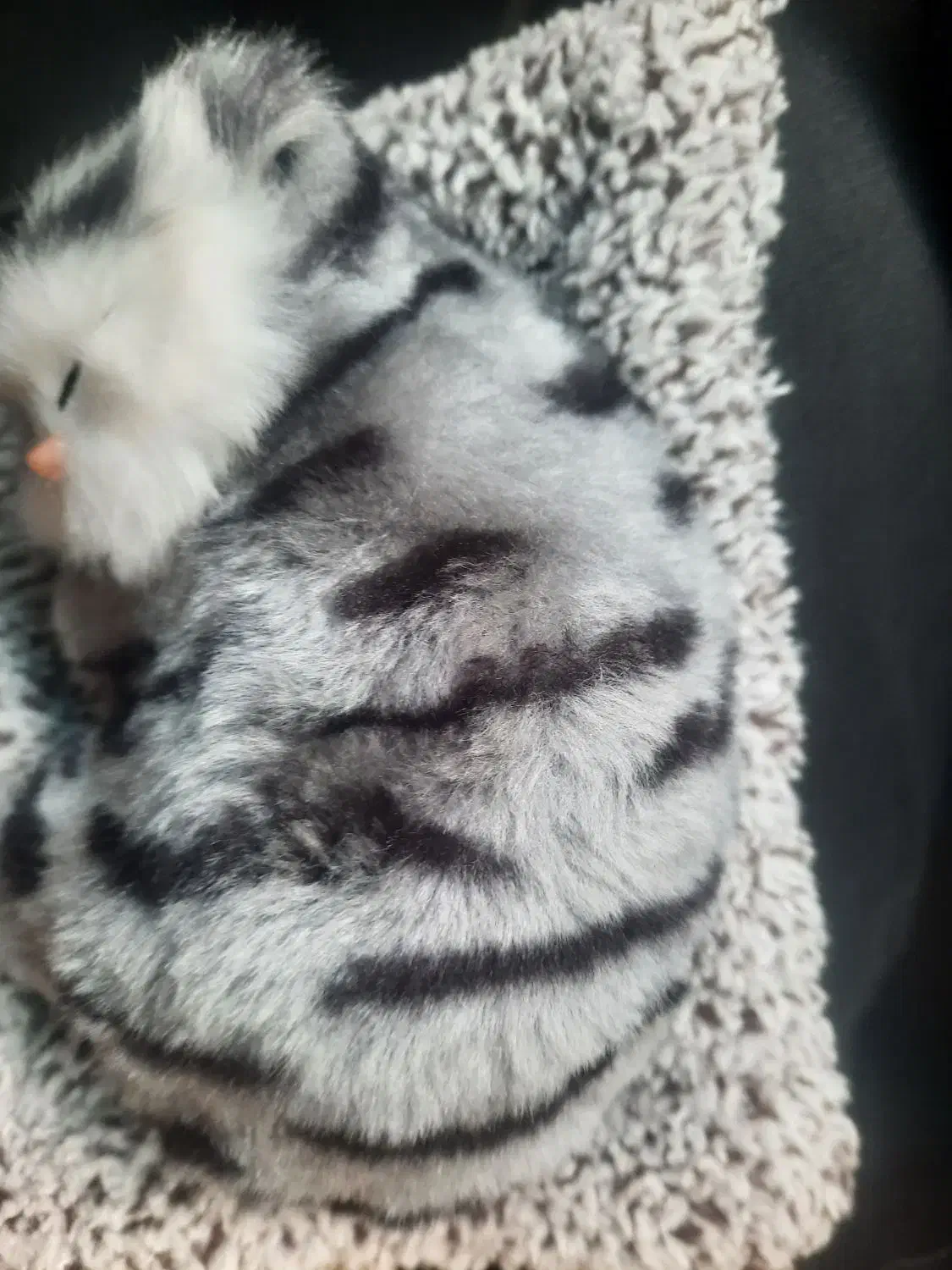 خدمات منزل|استخدام سرایداری و نظافت|بندرعباس, |دیوار