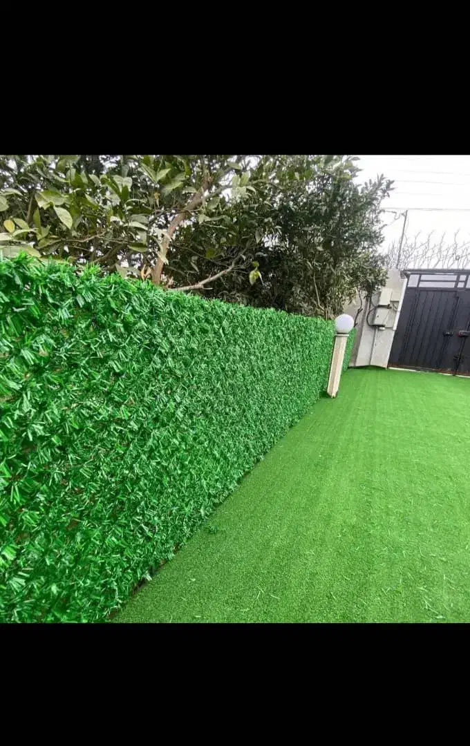 کارشناس اجرایی دبیرستان دوره۱ دخترانه|استخدام آموزشی|تهران, حکمت|دیوار