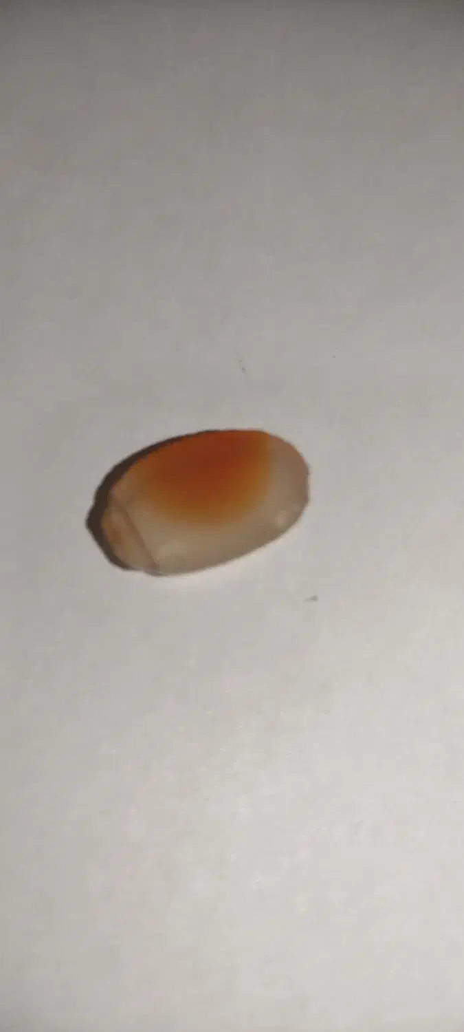 مهره های قدیمی|کلکسیون اشیاء عتیقه|ملکان, |دیوار