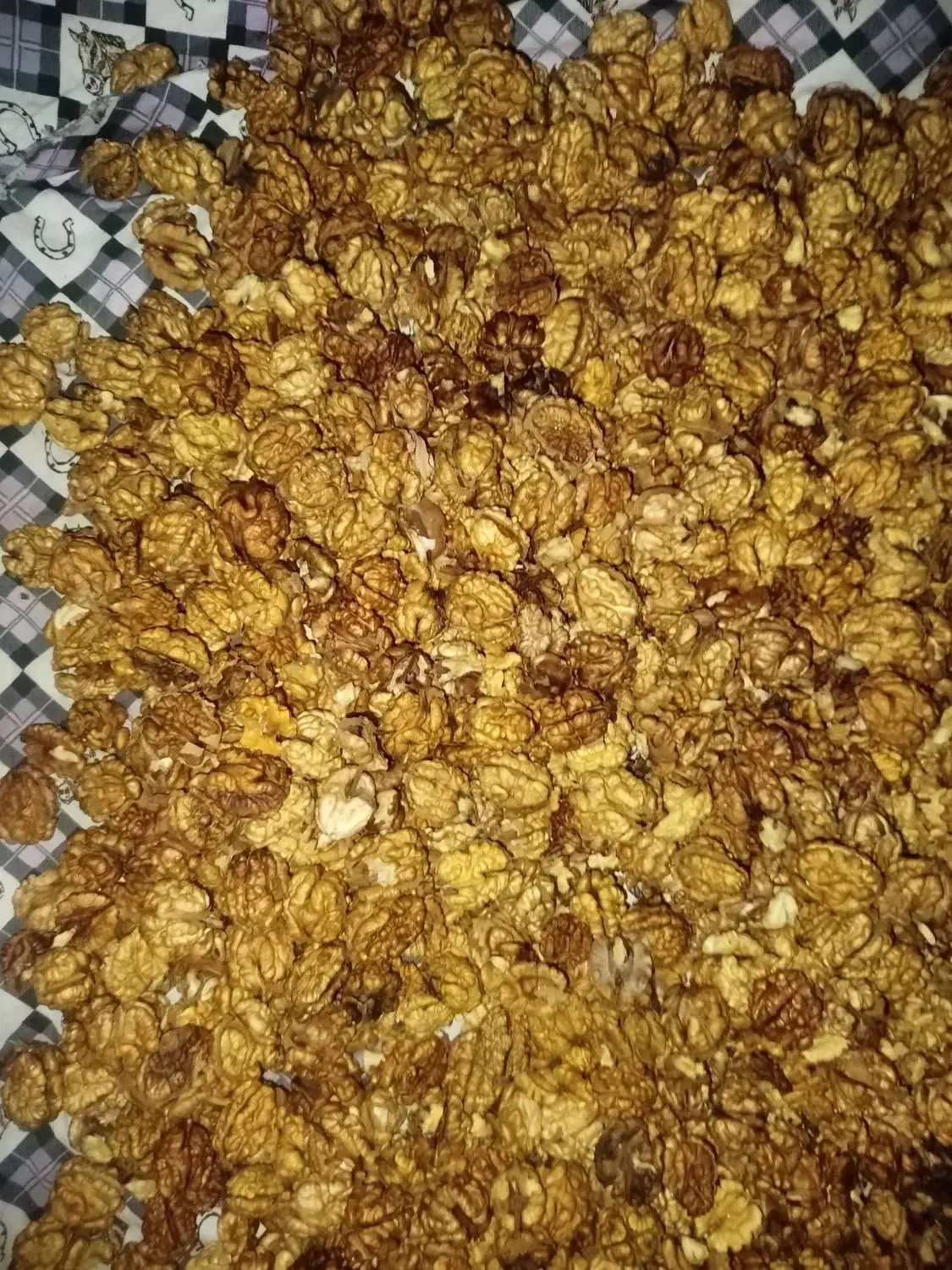 فروش مغز گردوی تازه|خوردنی و آشامیدنی|شاهین دژ, |دیوار