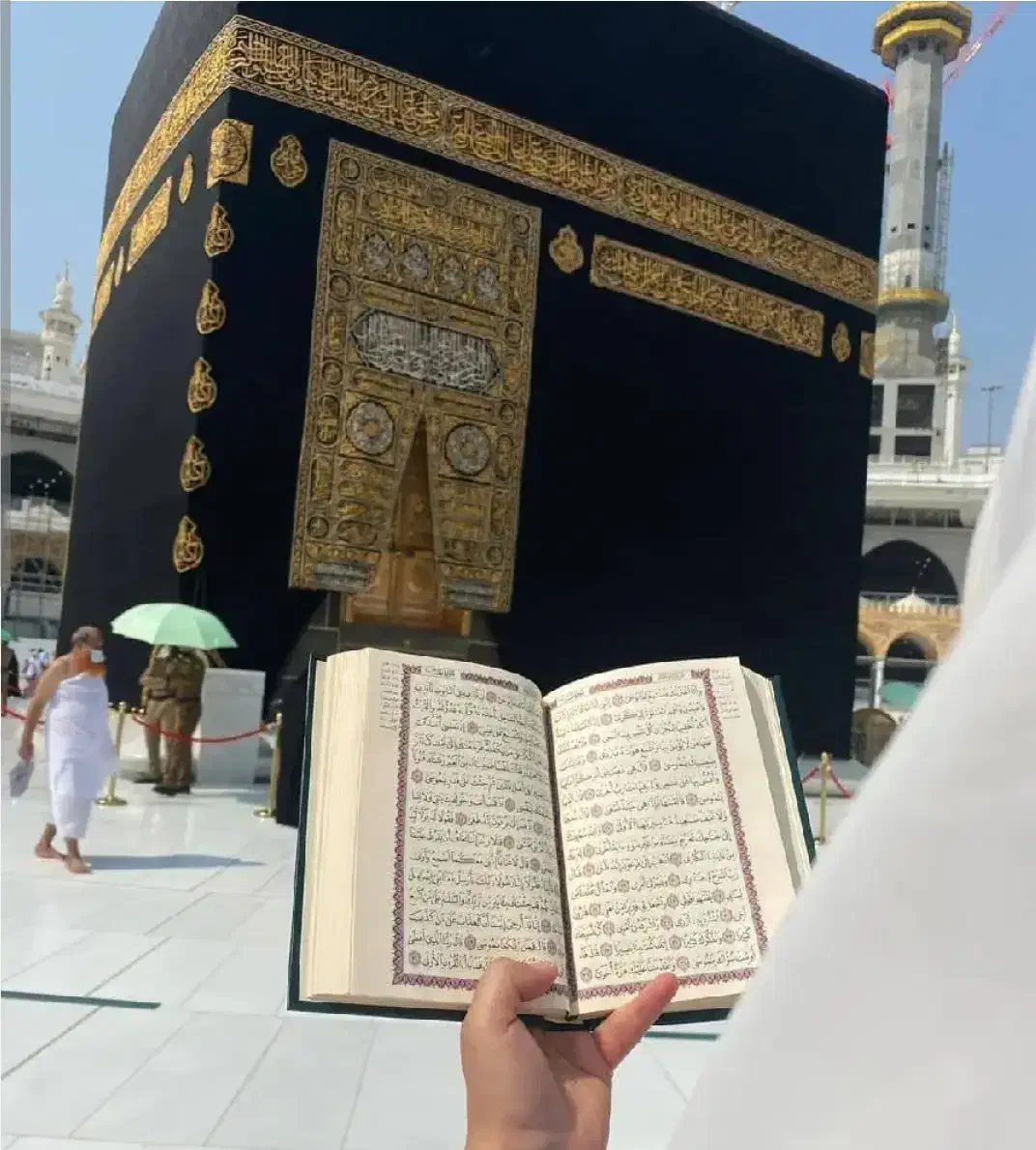 فروش فیش حج تمتع|تور و چارتر|داراب, |دیوار