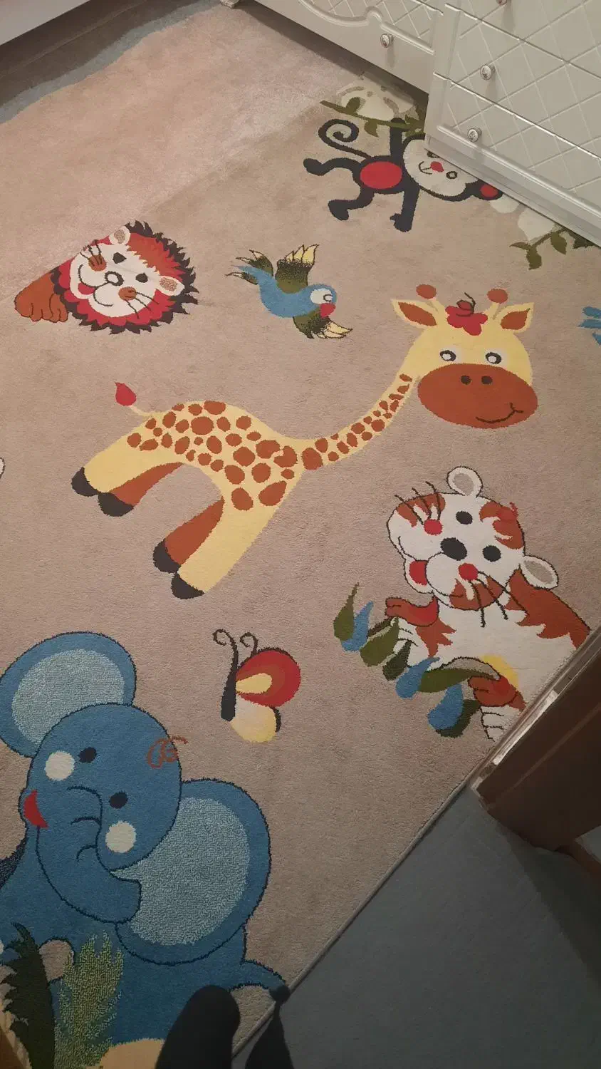 گلیم فرش|گلیم، جاجیم، گبه|نظرآباد, رسالت|دیوار