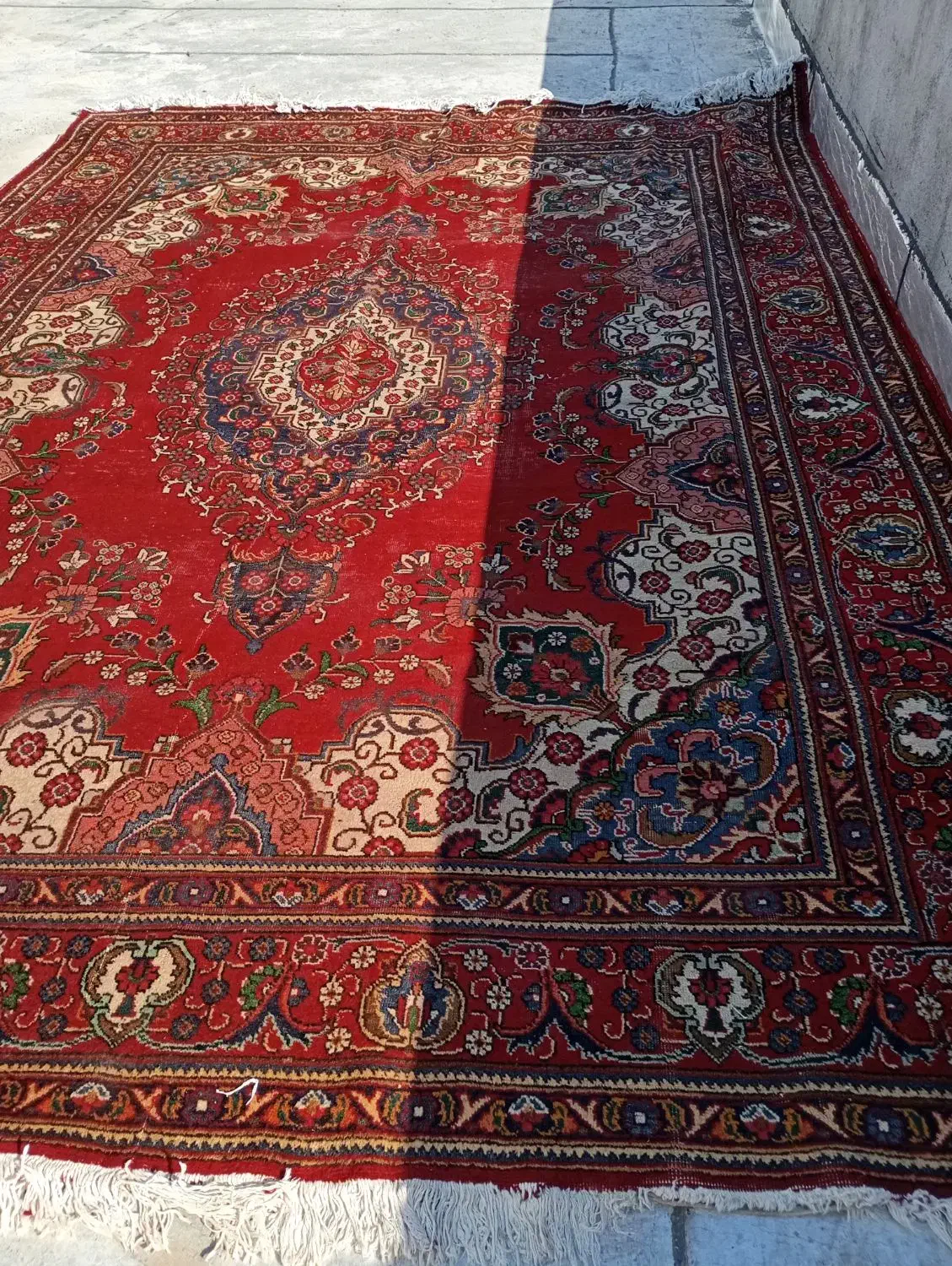 قالی‌‌ پشمی 12متری|فرش|گرگان, |دیوار