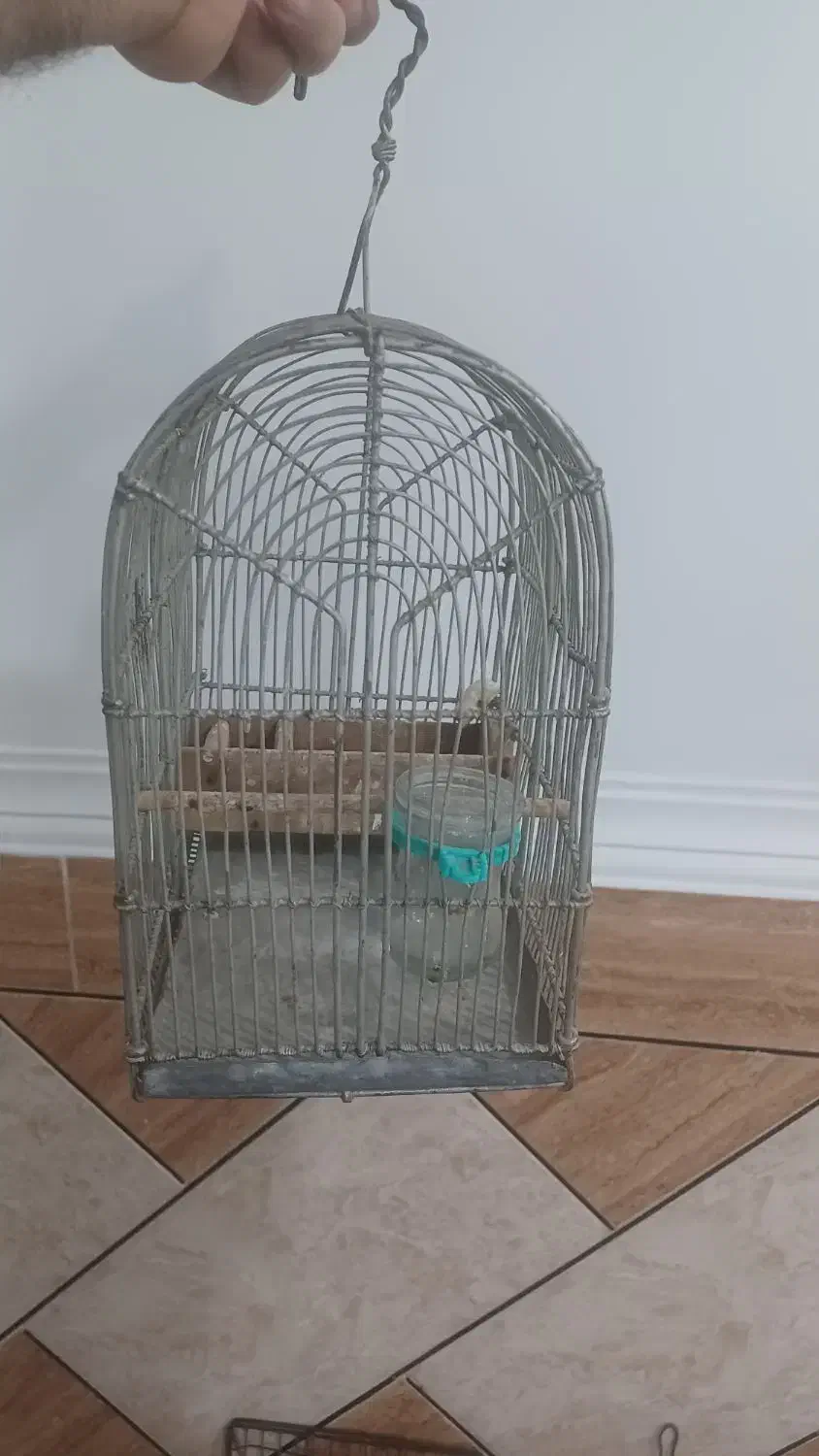 قفس دست باف سهره|لوازم جانبی حیوانات|اهواز, پردیس دو|دیوار