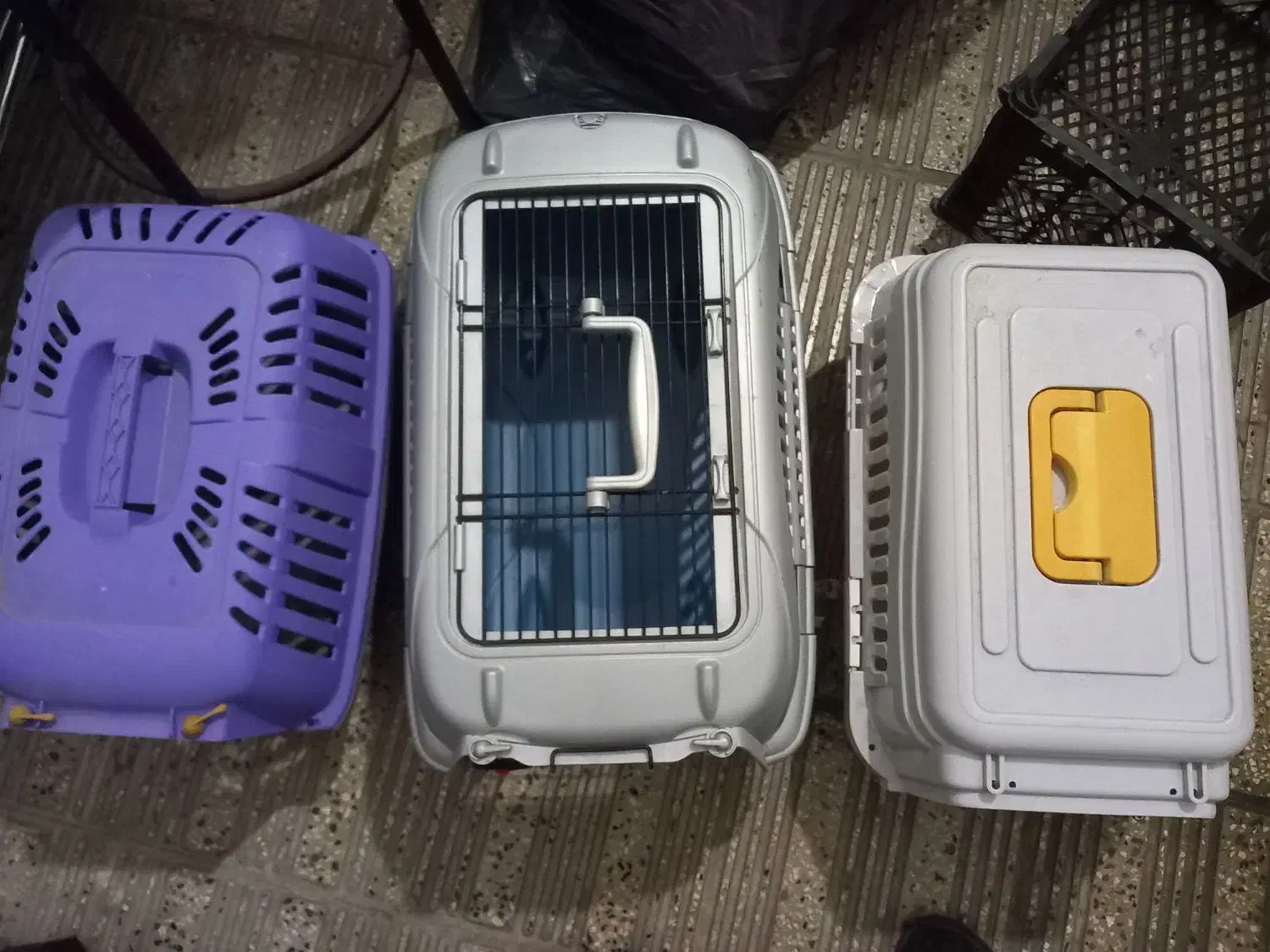 باگس ...قفس سگ|لوازم جانبی حیوانات|ساری, |دیوار