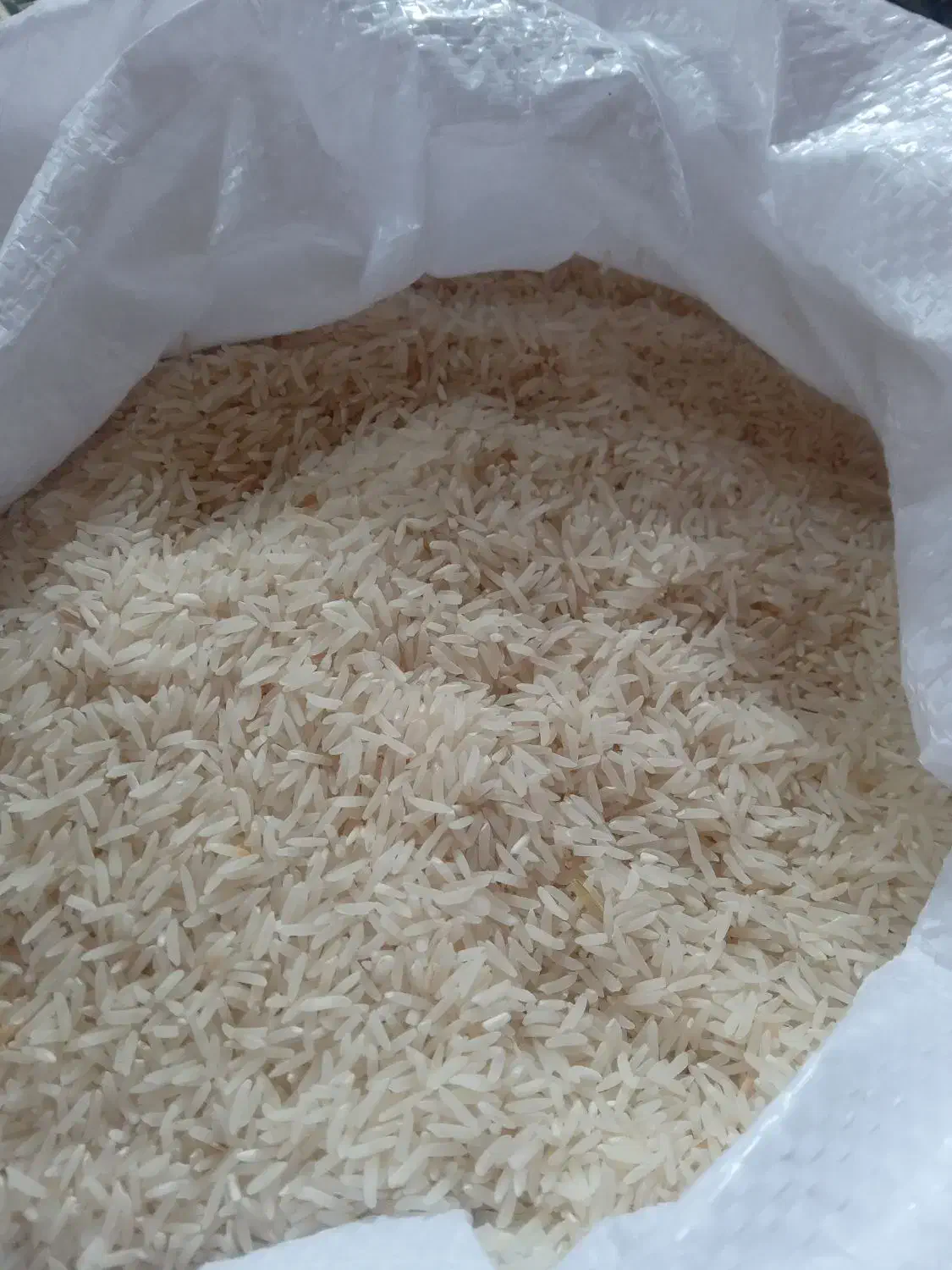 برنج فجر  سالم  عطردار وبا آب چاه حکیم اباد|خوردنی و آشامیدنی|علی‌آباد کتول, |دیوار
