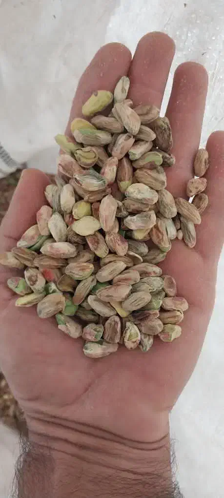 پسته درجه۱ اصل رفسنجان|خوردنی و آشامیدنی|رفسنجان, |دیوار