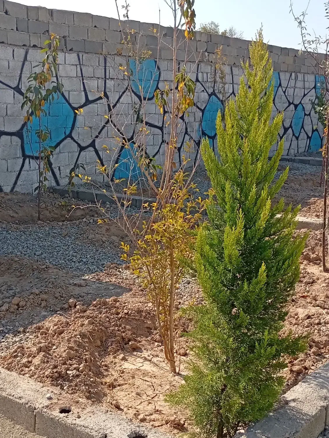 باغچه ۳۰۵ متری چسب بافت|فروش زمین و ملک کلنگی|اسلام‌شهر, شهرک احمدیه|دیوار