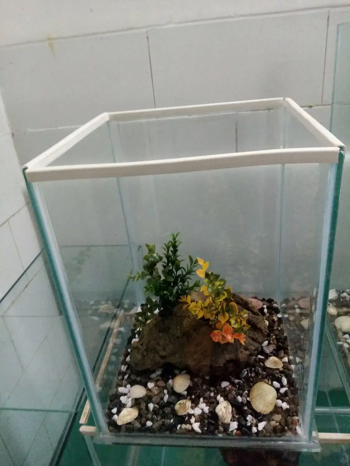 اکواریم نو ساز متنوع|ماهی|یزد, |دیوار