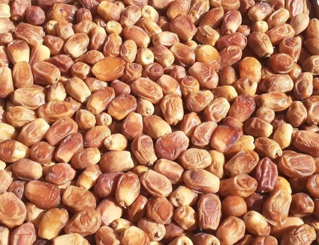 فروش خرما کبکاب|خوردنی و آشامیدنی|تهران, شهرک ولیعصر شمالی|دیوار
