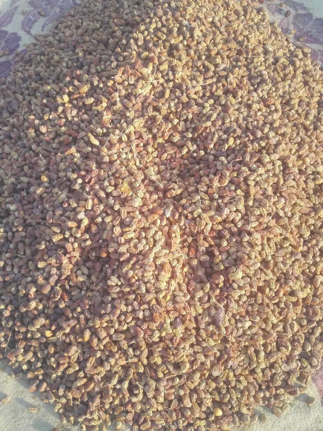 یه تن کنگه خلال برای دامداران|لوازم جانبی حیوانات|شبانکاره, |دیوار