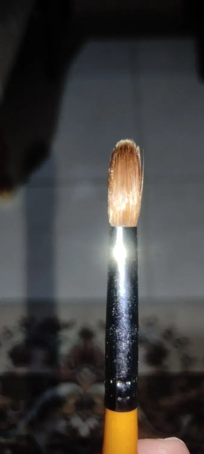 وسایل کاشت ناخن پودر|حراج|الوند, |دیوار