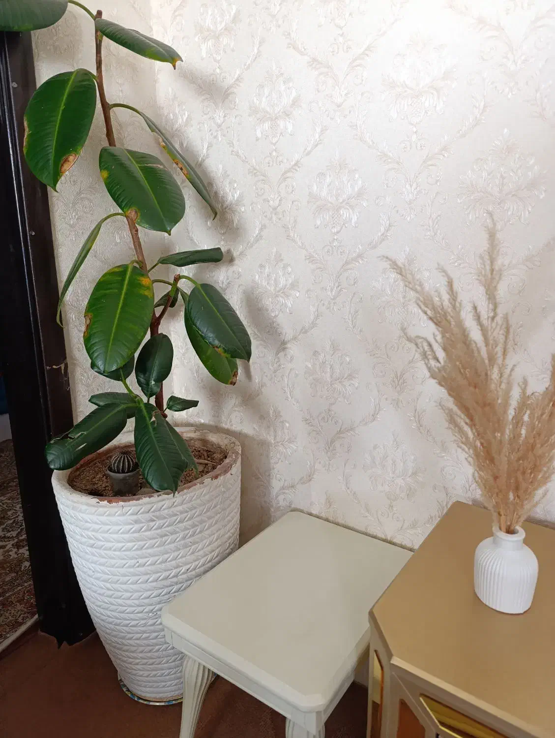 گل های طبیعی همراه گلدان|گل و گیاه طبیعی|خوی, |دیوار