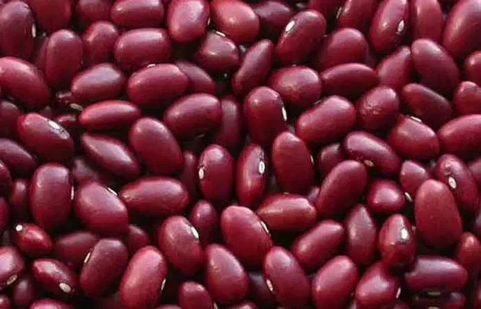 لوبیا قرمز بوجاری شده|عمده‌فروشی|بزینه رود, |دیوار