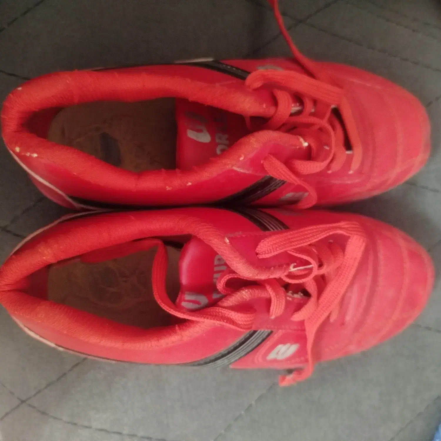 کفش|کیف، کفش، کمربند|آران و بیدگل, |دیوار