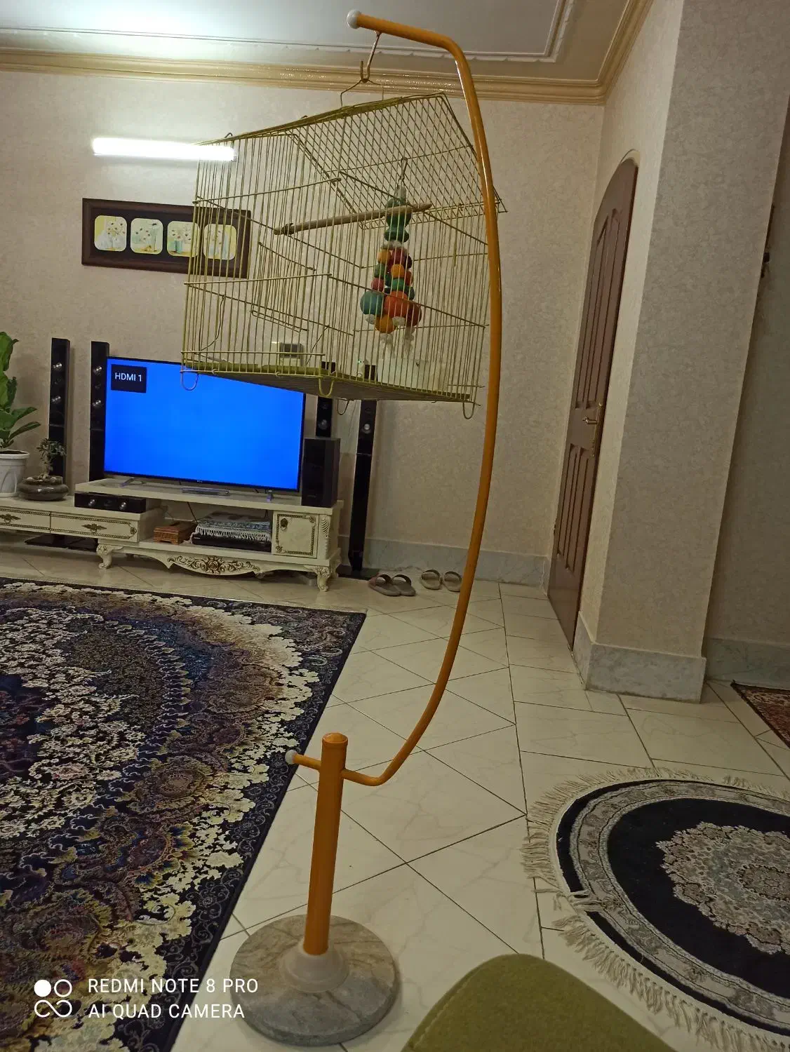 لوستر و قفس با پایه ایستاده|لوستر و چراغ آویز|شاهینشهر, فردوسی|دیوار