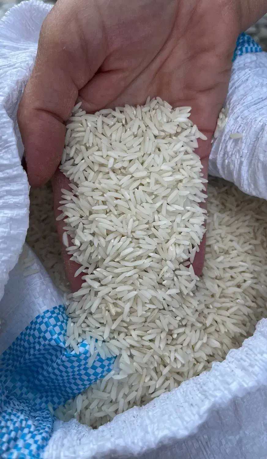 برنج هاشمی ممتاز آستانه|خوردنی و آشامیدنی|تهران, ترمینال غرب|دیوار