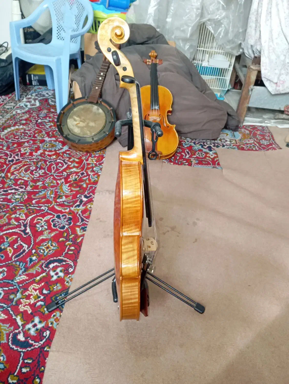 ویلن بازسازی شده|ویولن|ارومیه, |دیوار